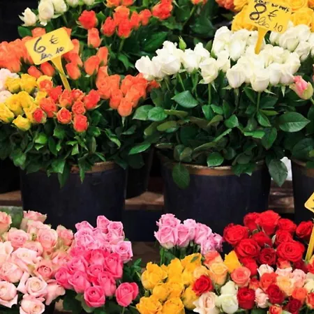 Bronze 公寓 戛纳